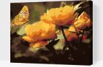  Festés számok szerint - Pillangó virágok között Méret: 40x50cm, Keretezés: Keret nélkül (csak a vászon)