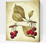  Festés számok szerint - Vintage cseresznyék Méret: 40x50cm, Keretezés: Keret nélkül (csak a vászon)