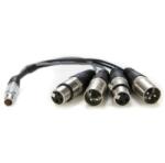 Atomos Lemo to XLR Breakout cable (ATOMCAB016)