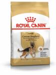 Royal Canin Hrana uscata pentru cainii adulti din rasa German Shepherd 22 kg (2 x 11 kg)