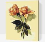  Festés számok szerint - Vintage rózsa 2 Méret: 40x50cm, Keretezés: Keret nélkül (csak a vászon)