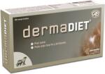 Derma Dermadiet tabletta egészséges bőr, és fényes szőrzet támogatására 60 db