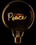 Elements Lighting Bec LED Peace 2W, E27, G125, Lumina Calda 2200K (12935-)