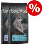 Briantos 2x12kg Briantos gabonamentes száraz kutyatáp-Junior csirke & burgonya