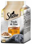 Sheba 6 x 50 g Sheba Fresh & Fine multipack -Csirke & pulyka szószban