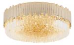 MAXlight Trend C0164