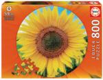Educa Puzzle Sunflower Round Educa 800 darabos és Fix ragasztó 11 évtől (19034)