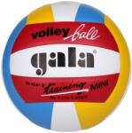 Gala Minge de volei Gala BV4041S (BV4041S)