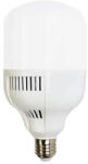 Dienergy Bec LED - 30W, Е27, A80, Plastic, 4000K (13376-)