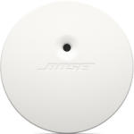 Bose AVM-1