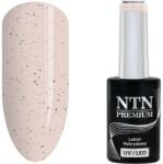 NTN Premium UV/LED 181# (kifutó szín)