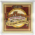 Ernie Ball 2012 Earthwood 80/20 Bronze 12-String Medium