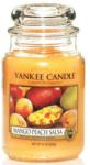 Yankee Candle Mango Peach Salsa 623 g
