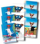 Herlitz Caiet A5, 48 file, dictando, Cool Dog, 10 buc/set Herlitz PCKHZ9480640 (PCK9480640)