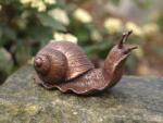 Thermobrass Statuie de bronz moderna Little snail 6x5x11 cm