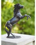 Thermobrass Statuie de bronz moderna Small rearing horse 24x7x19 cm