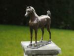 Thermobrass Statuie de bronz moderna Arabian Horse 30x10x33 cm