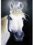 Thermobrass Tablou pictat manual Horse white 100 x 150 cm Alb