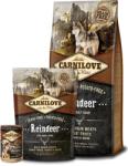 CARNILOVE Adult Reindeer 2x12 kg
