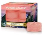 Yankee Candle Exotic Acai Bowl 12 x 9,8 g
