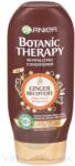 Garnier Botanic Therapy - Ginger Recovery 200 ml