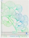 Herlitz Caiet cu spira A4, 70 file, patratele, Ginkgo Greenline, Herlitz HZ50033485