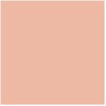 PENTART Alkoholos média tinta 20ml barack (21025)