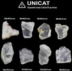  Cristal Natural Fenacit - Phenacite Brut - 17-26 x 13-19 x 4-5 mm - ( M )