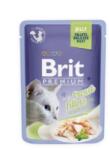  Brit Premium Delicate Fillets in Jelly with Trout 24x85 g 2.04 kg