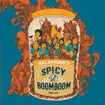 Balaphonics Spicy Boom Boom