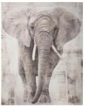 Atmosphera Createur D'interieur Tablou canvas Elefant, 38x48 cm