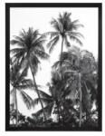 Atmosphera Createur D'interieur Tablou deco Palms, geam sticla, rama MDF, 32x42 cm