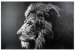 Atmosphera Createur D'interieur Tablou canvas Lion Black, 118x78 cm