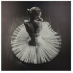 ATMOSPHERA Tablou canvas Dancer, 78 x78 cm