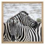 Atmosphera Createur D'interieur Tablou canvas Zebra, 58x58 cm