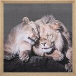 Atmosphera Createur D'interieur Tablou canvas Lions, 58x58 cm