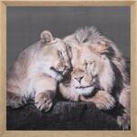 ATMOSPHERA Tablou canvas Lions, 58x58 cm