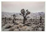 Atmosphera Createur D'interieur Tablou canvas Desert, 60x90 cm
