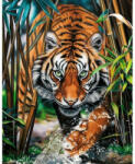 Wizardi Gyémántfestés szett, tigris a dzsungelben, 38x48cm (ART-WD2482)