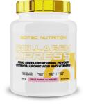Scitec Nutrition Collagen Xpress (475 gr. )