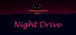 AntiAnti Night Drive VR (PC)
