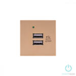 Smarthugo Dupla Arany USB Csatlakozó (sh413003)