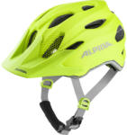 Alpina Carapax Jr Flash