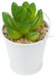 Pami Accessories Planta suculenta artificiala in ghiveci F419-298-10 Pami Flower 5x5 cm Alb
