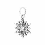 Pami Accessories Talisman pandantiv fulg de zapada Argint S925 cu cristal zirconiu