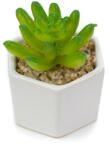Pami Accessories Planta suculenta artificiala in ghiveci F419-308-2 Pami Flower 5x6.5 cm Verde