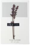 Pami Accessories Felicitare cu floare aplicata Pami Flower 241C 15 x 9 cm Mov