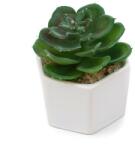 Pami Accessories Planta suculenta artificiala in ghiveci F419-308-12 Pami Flower 5x6.5 cm Verde