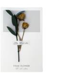 Pami Accessories Felicitare cu floare aplicata Pami Flower 241E-2 15 x 9 cm Natural
