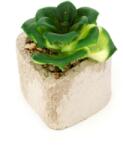 Pami Accessories Planta suculenta artificiala in ghiveci F419-296-9 Pami Flower 4x5.5 cm Verde